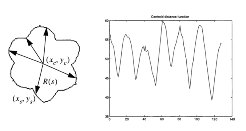 Centroid distance function (right) of the 2D shape on the left, composed of a sequence of representations of the distance from the centroid to points on the contour of the shape, where representations adjacent in the sequence encode spatially adjacent contour points. Source: Ma & Manjunath (1999). Reprinted with permission of Springer Nature.