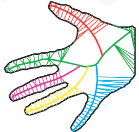 Medial axes of the human hand. Notice that separate axis branches tend to correspond to separate parts of the hand (e.g., fingers). Source: Feldman & Singh (2006). Copyright (2006) National Academy of Sciences.