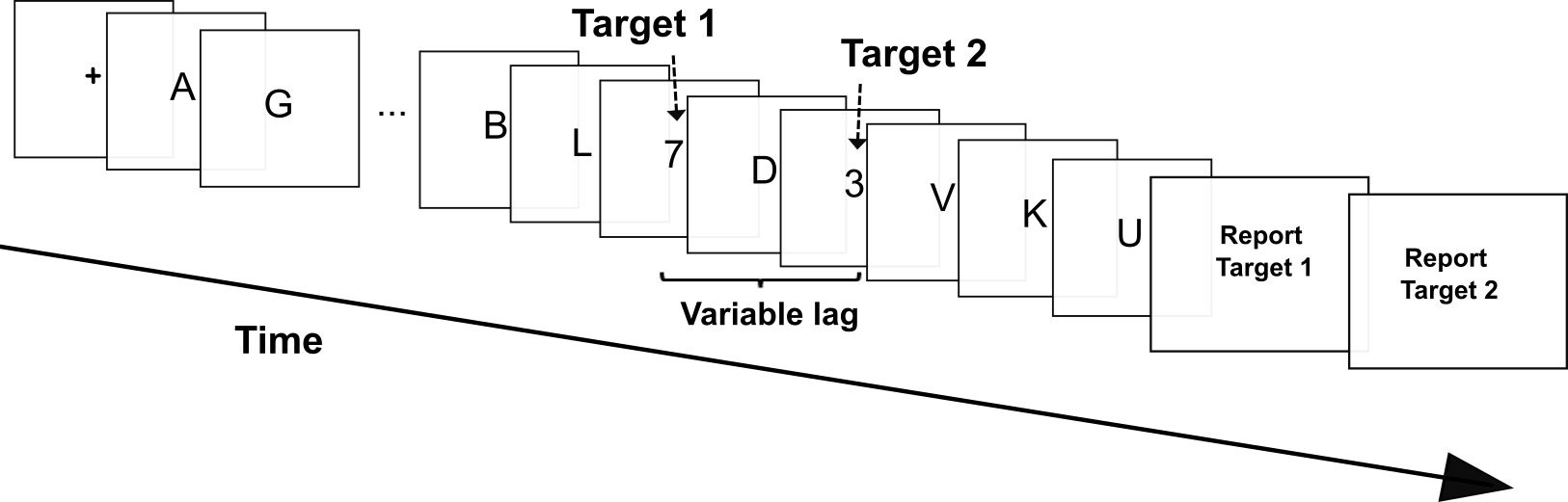 The attentional blink paradigm. Participants must report two targets appearing within a rapid succession of distractors, all presented at fixation. When the second target appears within 200-400ms after the first, participants fail to report it. This effect is known as the attentional blink.